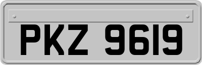 PKZ9619