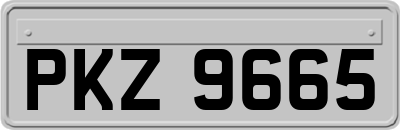 PKZ9665
