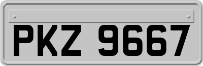 PKZ9667