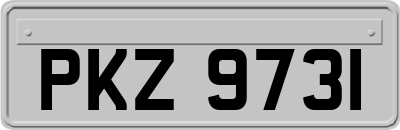 PKZ9731