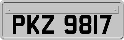 PKZ9817