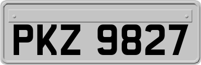 PKZ9827