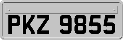 PKZ9855