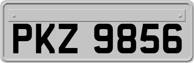 PKZ9856
