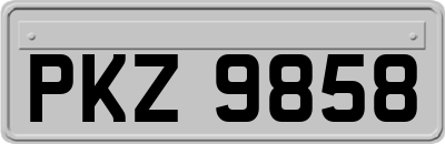 PKZ9858