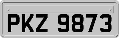 PKZ9873