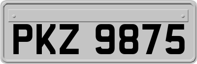 PKZ9875