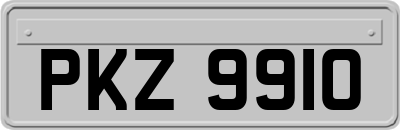 PKZ9910