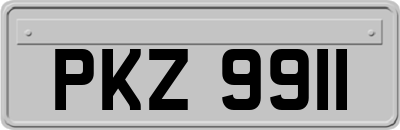 PKZ9911