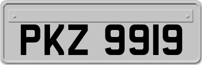 PKZ9919