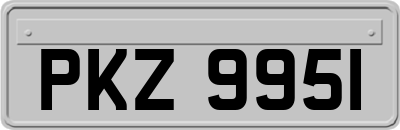 PKZ9951
