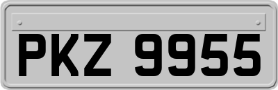 PKZ9955