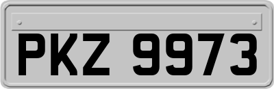 PKZ9973