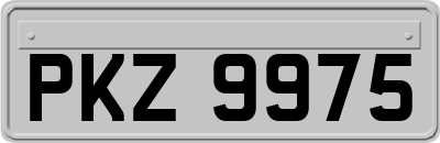 PKZ9975