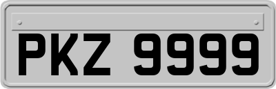 PKZ9999