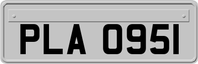 PLA0951