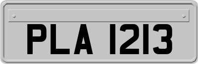 PLA1213