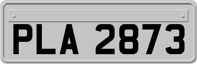 PLA2873