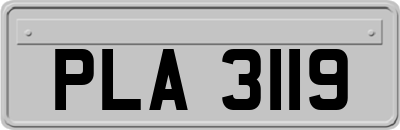 PLA3119