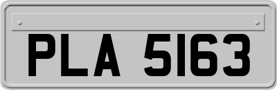 PLA5163