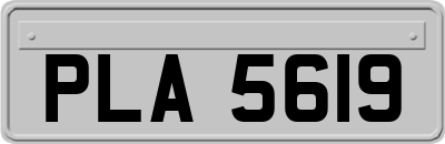 PLA5619