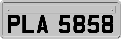 PLA5858