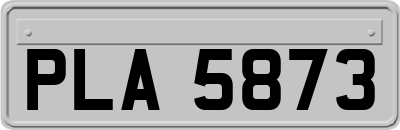 PLA5873