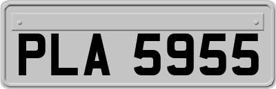 PLA5955