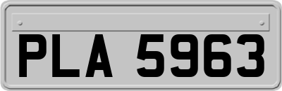 PLA5963