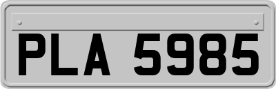 PLA5985