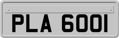 PLA6001