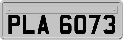 PLA6073