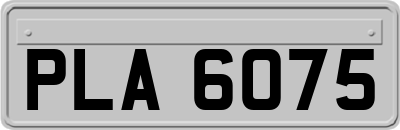PLA6075