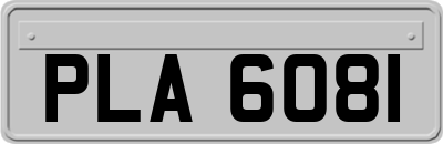 PLA6081