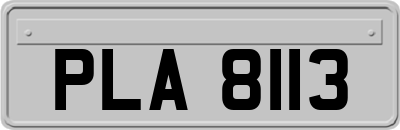 PLA8113