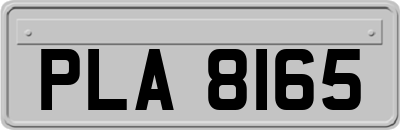 PLA8165