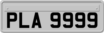 PLA9999