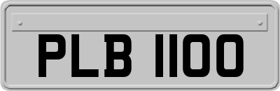 PLB1100