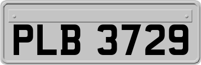 PLB3729