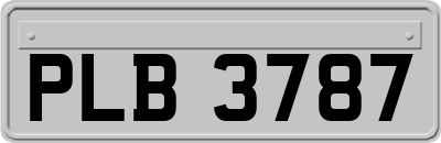 PLB3787