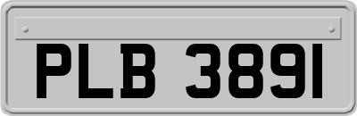 PLB3891