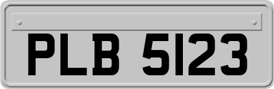 PLB5123