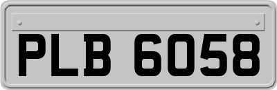 PLB6058