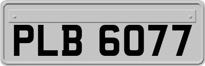 PLB6077