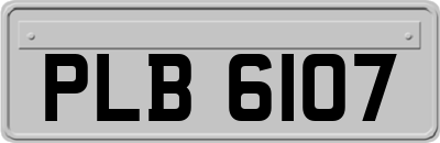 PLB6107