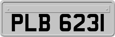 PLB6231