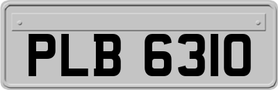 PLB6310