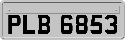 PLB6853