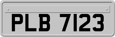 PLB7123