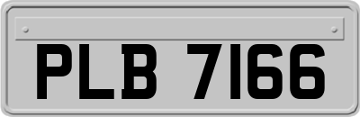 PLB7166